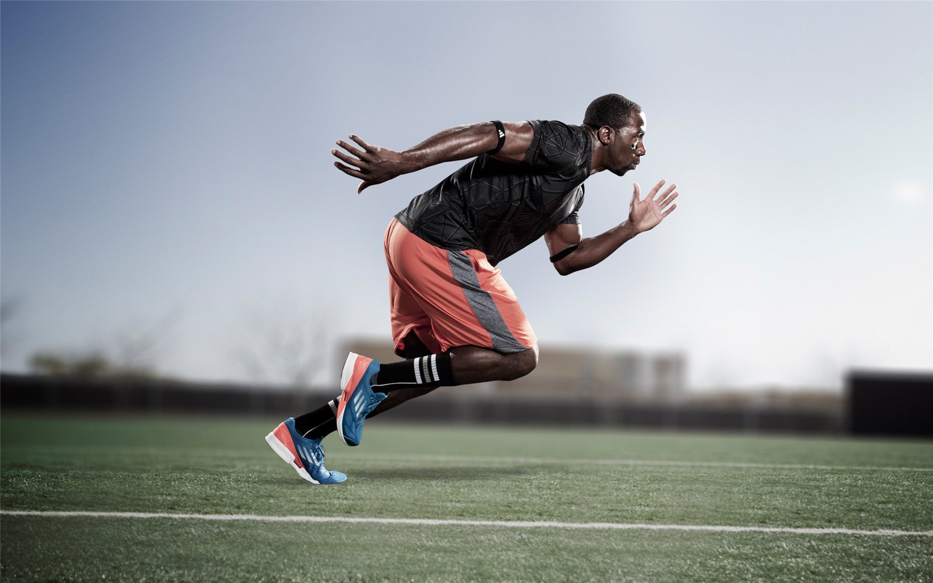 体育新闻中心聚焦城市运动地图数据资源内容发布,体育运动 新闻